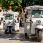 Split: City Highlights Electric Tuk-Tuk Tour - Who Would Love This Tour?