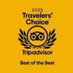 St Pancras International Station Chauffeur/ Taxi - Central London - Detailed Breakdown of the Experience