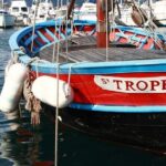 St Tropez and Port Grimaud Full Day Sightseeing Tour - Who Is This Tour Best For?
