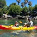 Stand Up Paddle Boarding Lesson of Cascais Bay - Detailed Review of the SUP Lesson in Cascais Bay