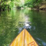 Stand-Up Paddle & Snorkeling with local Guide - Evaluating Value and Whats Included