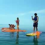 Stand up paddling board for 2 hours rental - Why This Tour Offers Great Value