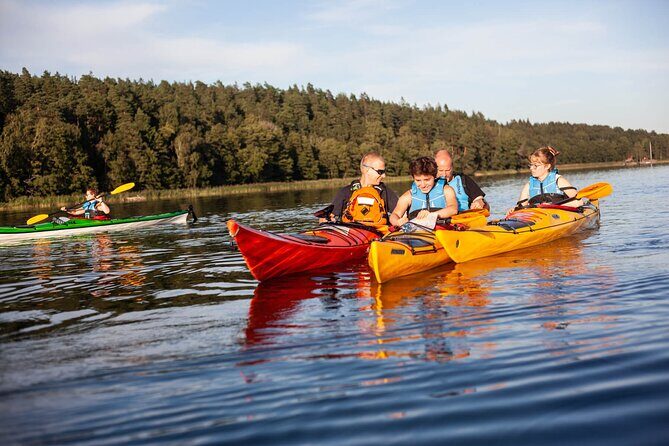 Stockholm: Archipelago Family-Friendly Private Kayaking Tour - What Makes the Experience Special?