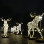 Stockholm Christmas Tour and Food Experience - Final Thoughts