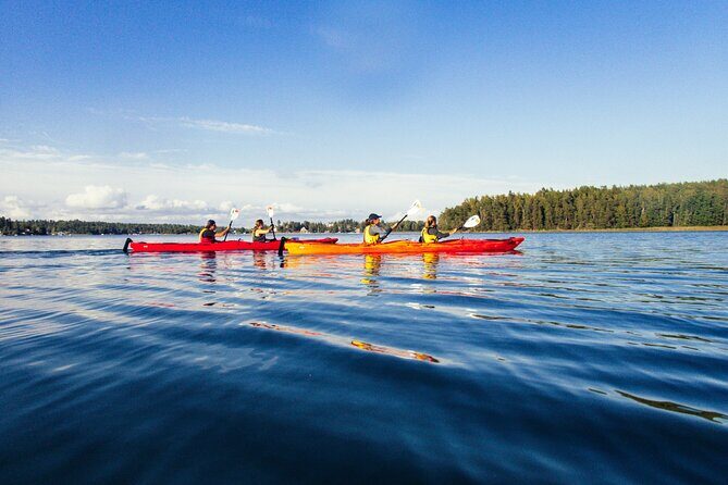 Stockholm: Kayaking tour around Vaxholm Archipelago with Fika - FAQs