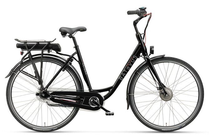 Stockholm Södermalm E Bike Tour - Authentic reviews and insights