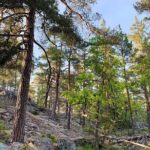 Stockholm: Sunset Hike in Tyresta National Park with Meal - FAQ
