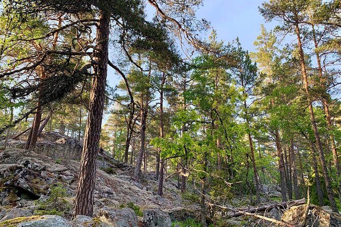 Stockholm: Sunset Hike in Tyresta National Park with Meal - FAQ