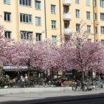 Stockholm Tour with a Local: Explore Hip And Bohemian Sodermalm - Who Is This Tour Best For?