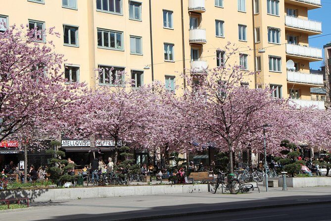 Stockholm Tour with a Local: Explore Hip And Bohemian Sodermalm - Who Is This Tour Best For?