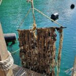 Ston Gastro Tour - The Practical Side of the Tour