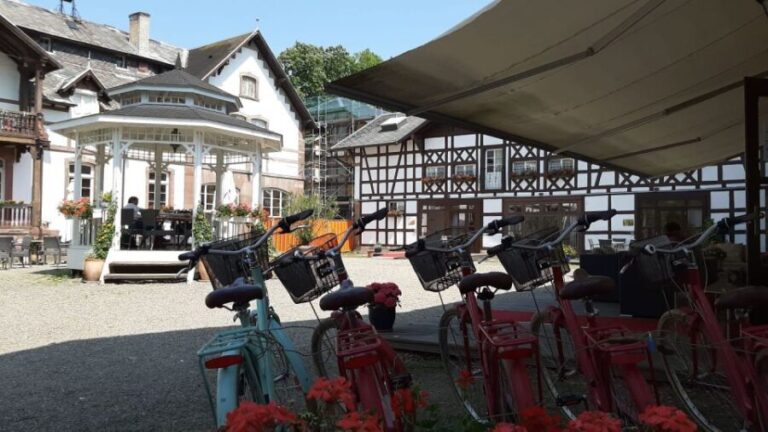 Strasbourg: 1-Day Bike Rental - A Day in Strasbourg: What to Expect
