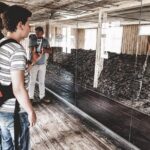 Stutthof Concentration Camp English Tour with Gdansk Hotel pickup - The Value of the Tour