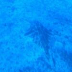 Submarine tour Tenerife: a 1 hour underwater experience - Frequently Asked Questions