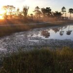 Sunrise at Kemeri National Park - FAQs