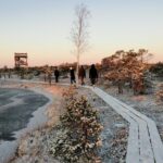 Sunrise at Kemeri National park + Jurmala - The Practicalities: What You Need to Know
