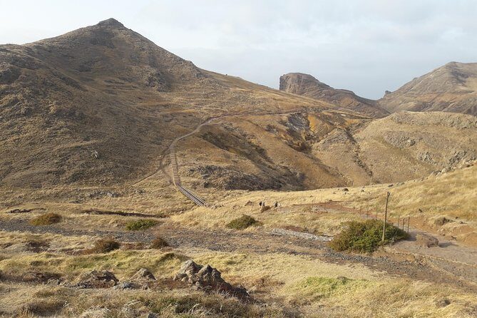 SUNRISE guided HIKE in Ponta de São Lourenço Natural reserve PR8 - Who Should Book This Tour?