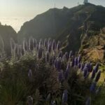 Sunrise Walk & Stairway to Heaven- Guided - Walking the Stairway to Heaven