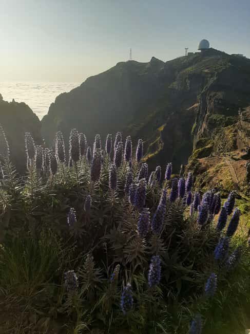 Sunrise Walk & Stairway to Heaven- Guided - Walking the Stairway to Heaven