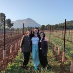 Sunset among Vineyards with Tasting in Alicante (min 6-12 people) - Authentic Insights from Reviewers