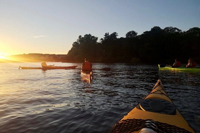 Sunset Kayak Tour in Central Stockholm and Swedish Fika - The Value of the Tour: Is It Worth It?