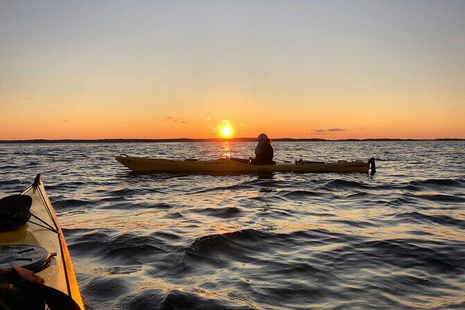 Sunset Kayak Tour in the Stockholm Archipelago + Swedish Fika - Who Should Consider This Tour?