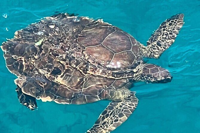 SUNSET LUXURY YACHT from Protaras - Cypriot Dinner - 1 free drink - FAQ