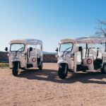 Sunset panorama and 3 Fortresses Sibenik Tuk Tuk Tour - Who Will Love This Tour?