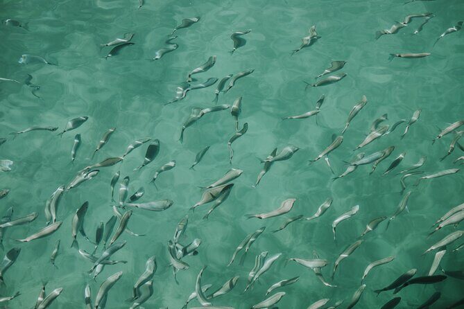 Sunset panorama & swimming with a fishes - The Experiences Strengths & Possible Limitations