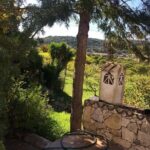 Sunset Safari - What Does the Price Cover?