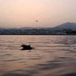 Sunset Sailing on a Private Sailboat Puerto Banús Marbella - Why This Tour Is Worth It