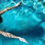 Sunset & swimming at Cape Sounio, Poseidon temple - Transportation & Overall Experience