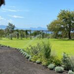 Superior Wine Tasting with Lunch on the slopes of Mt. Vesuvius - The Value of This Experience