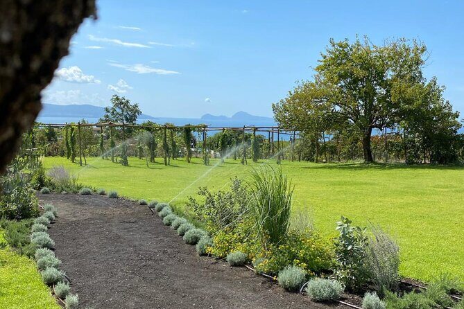 Superior Wine Tasting with Lunch on the slopes of Mt. Vesuvius - The Value of This Experience