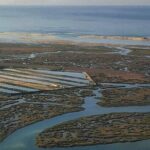 Surf & Sup - Final Thoughts