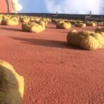 Surreal experience: visit the Dalí museum - What Sets This Tour Apart