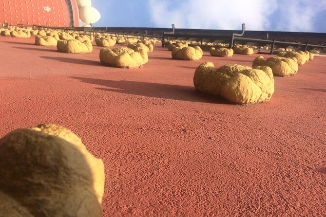 Surreal experience: visit the Dalí museum - What Sets This Tour Apart