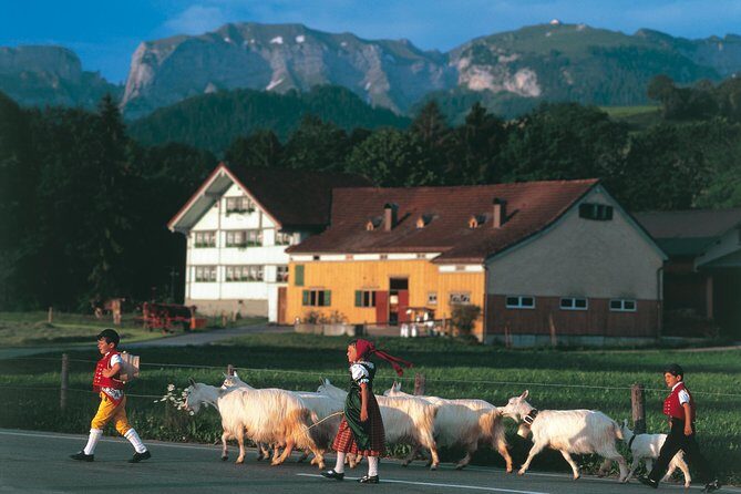 Swiss Cheese, Chocolates and Mountains Small-Group Tour from Zurich - FAQs