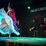 Tablao Flamenco Alma - Live Flamenco Show - Exploring the Experience: What to Expect