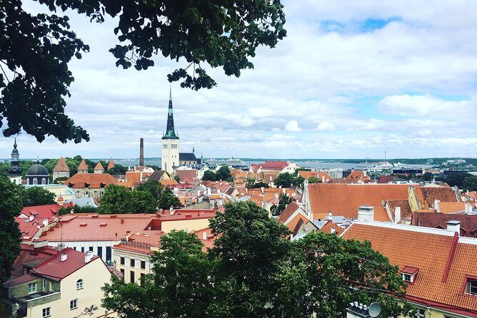 Tallinn Day Tour from Helsinki (Ferry Tickets+ Guiding+ Own Time) - What to Expect at Each Stop