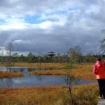 Tallinn Old Town Tour combined with Bog Walk - Who Will Love This Tour?