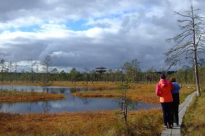 Tallinn Old Town Tour combined with Bog Walk - Who Will Love This Tour?