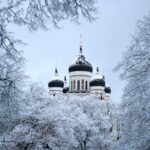 Tallinn Top Attractions and Viimsi Open Air Museum - Final Thoughts: Who is This Tour Best For?