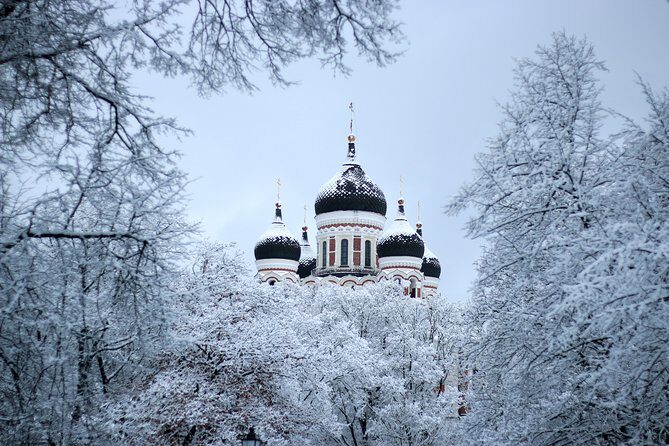 Tallinn Top Attractions and Viimsi Open Air Museum - Final Thoughts: Who is This Tour Best For?