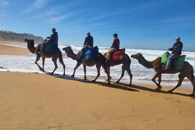 Tangier Luxury Private Day Tour From Tarifa including Camel ride - Who Would Love This Tour?