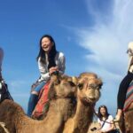 Tangier Private Half-Day Tour + Camel Ride + Add-on: Lunch - The Value of This Tour