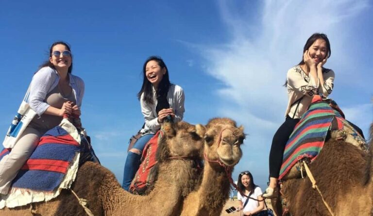 Tangier Private Half-Day Tour + Camel Ride + Add-on: Lunch - The Value of This Tour