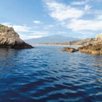 Taormina and Giardini Naxos: 2 Hour Dolphin Tour & Grotto - What Reviewers Say