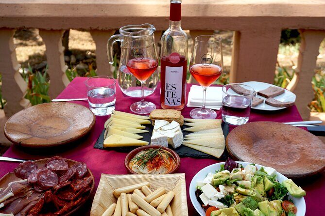 Tapas in the vineyards - Who Is This Tour Best For?