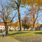 Targu Mures 3 hours walking tour - Final Thoughts